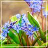 Фото профиля Ban Suonnehk