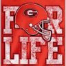 Dawg4Life 的头像