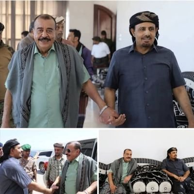 على بن هلابي's profile picture