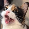 slippy_maxwell's profile picture