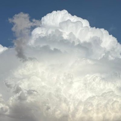 bh_nkoom's profile picture