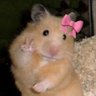 bella aesthete ๐ฅ's profile picture