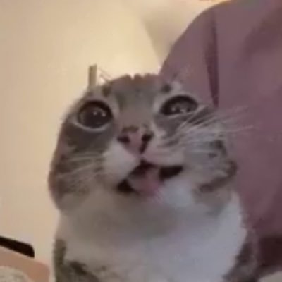 ESFMicch's profile picture