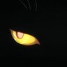 Arjun's profile picture