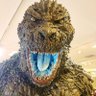 taro's profile picture