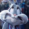 De Papy's profile picture