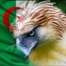 Фото профиля 🇬 🇭 🇦 🇳 🇮