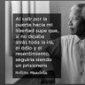 Profilbild von 🗣️🌟Eco de Mandela✊🏿🕊️