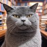 r4ndomcat's profile picture