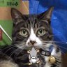 猫田 かめえもん profil fotoğrafı