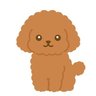 たかまさ🩵☁'s profile picture