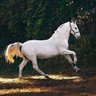 Фото профиля Kamalkumar