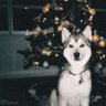 Фото профиля Benji
