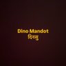 dino mandot 的头像