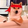 Tj's profile picture