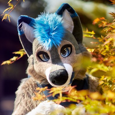 Sliver's profile picture