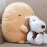 Profilbild von ふうらい