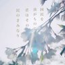 J-coco🇯🇵 的头像