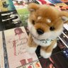 海希🐺's profile picture