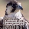 محمد العنزي ابو فيصل's profile picture