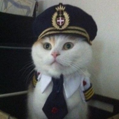 CaptainSlow's profile picture