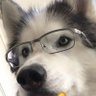 百大 的头像