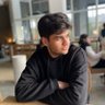 Pouri Erfanzadeh's profile picture