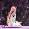 🐬🦭Ivy 🦭🐬's profile picture
