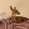 ريناد's profile picture
