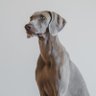 Christina Townsend's profile picture