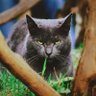 Pamela Bruce's profile picture