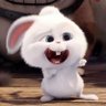 keyl's profile picture