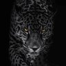 Profilbild von #