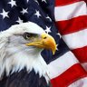 Voted for this 🇺🇸's profile picture