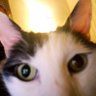 Profilbild von Colleen