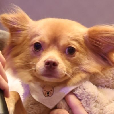 pixeljane's profile picture