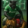 lapattefolle's profile picture