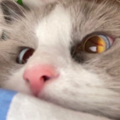YEni_404's profile picture