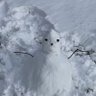 Haowu profil fotoğrafı