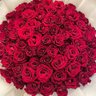الكاسر's profile picture