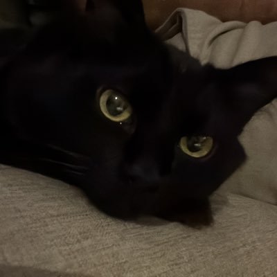 duda's profile picture