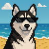 Profilbild von BrrDEVTrue