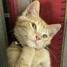 伊藤大輔 profil fotoğrafı