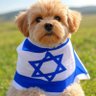 CSM5🇨🇦🇺🇲🇮🇱 profil fotoğrafı