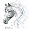 zizogamal63's profile picture