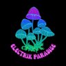 Electrik Paradise 的头像