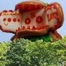 いばらき怪獣研究所 profil fotoğrafı