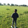 Profilbild von Ahmed Bayou