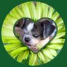 eeyo's profile picture