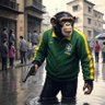 Macaco Caolha's profile picture